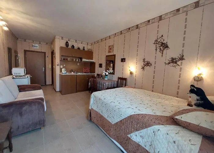 студия в центре солнечного берега